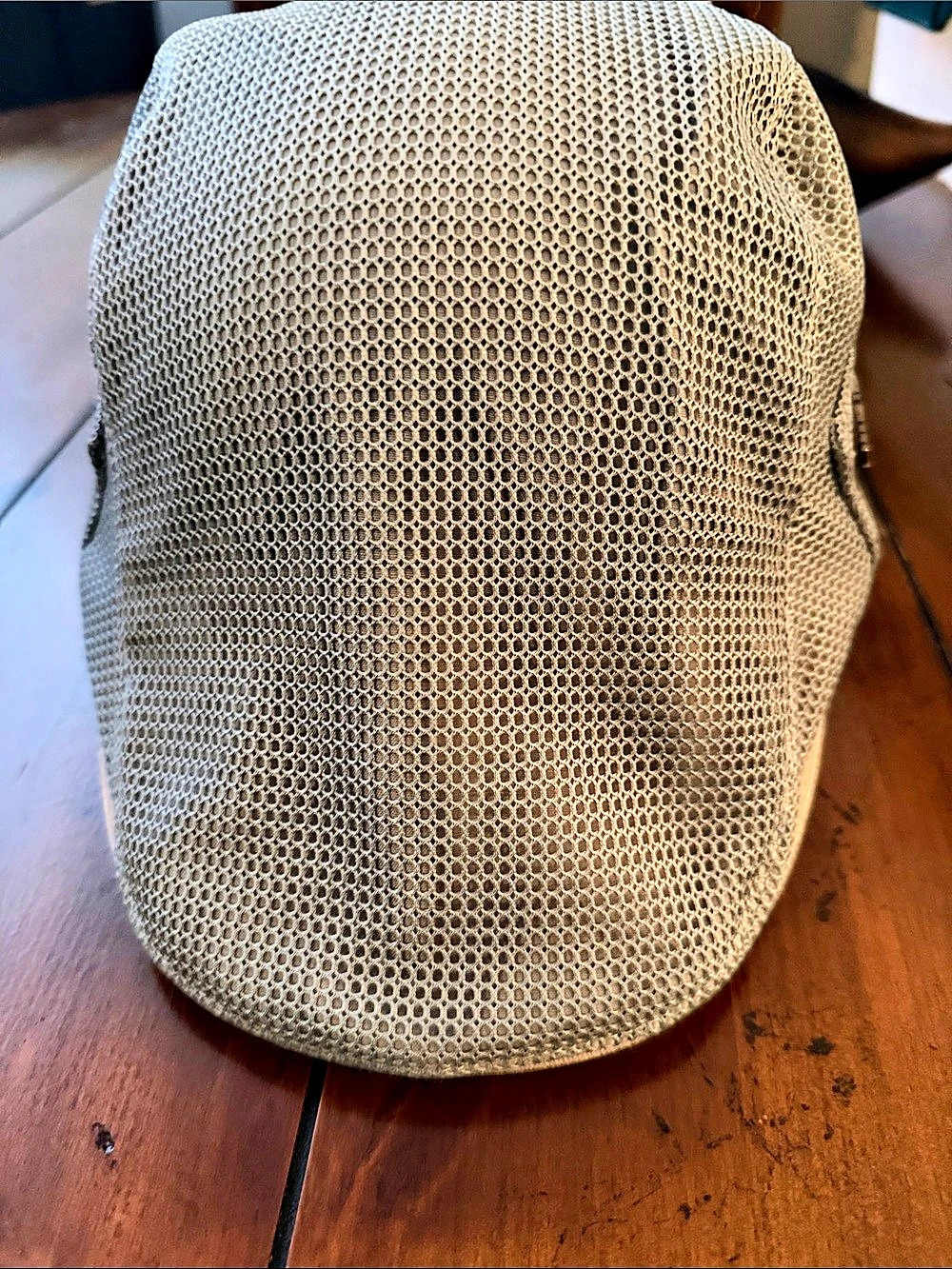 IAMONT Men's Mesh Baseball Cap in Beige